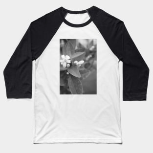 Black and White Plant Baseball T-Shirt